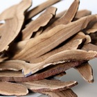 Reishi Mushroom Tea from Royal Tea Co