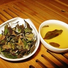 Wild White Tea from Shang Tea