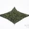 Hon Yama Zairai Sencha - 2010 1st Harvest Shizuoka Zairai Sencha from Norbu Tea