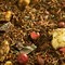 Spicy Chocolate Rooibos from DAVIDsTEA
