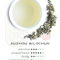 Suzhou Bilochun from Tea Gallery