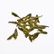 Dragon Well Green Tea | Shi Feng Long from Canton Tea Co