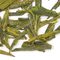Dragonwell from Adagio Teas