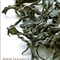 Wensheng Pouchong from Tea Sante