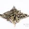 2010 Fall - Pasha Zhong Zhai Mao Cha - Loose Pu-Erh Tea from Norbu Tea