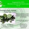 Champagne Mojito Green from 52teas