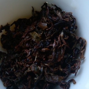 Bai Hao from Samovar