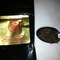 Fujian Oolong from Le Societe du The
