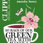 Fairtrade Green Tea with Manuka Honey from Clipper