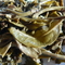 2010 Si Shui (Flowing Water) from Yi Ru Chang