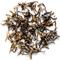 Heritage Edition Lapsang Souchong from Imperial Tea Court