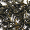 Vietnam Suoi Giang  Mountain Tea Special from AMANA