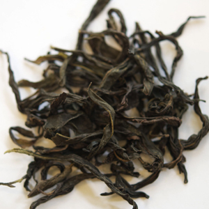 Dong Fang Hong Wudong from Camellia Sinensis