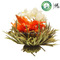 Flower Faery from Dragon Tea House