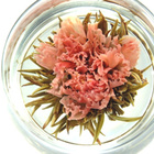 Variety of Colors from Dragon Tea House