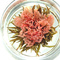Variety of Colors from Dragon Tea House