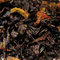 Holiday Spice Tea from The Tea Spot