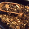 Pu'erh Ginger (organic) from DAVIDsTEA