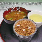 Genmai by Obubu from Obubu Tea