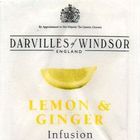 Lemon & Ginger from Darvilles of Windsor