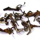 Oriental Beauty Oolong from Chah