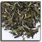 Pai Mu Tan from The Exotic Teapot