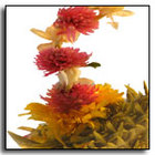 Three Moon Pearl Blooming Tea from The Exotic Teapot