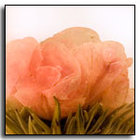 Peony Cascade Blooming Tea from The Exotic Teapot