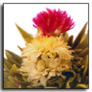Blossoming Peach Blooming Tea from The Exotic Teapot
