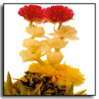 Dancing Lovers Blooming Tea from The Exotic Teapot