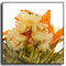 Jasmine Fairies Blooming Tea from The Exotic Teapot