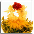 Jasmine Fusion Blooming Tea from The Exotic Teapot