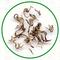 Putuo Shan Fo Cha from Dobra Tea