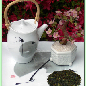 Tsumi Sencha Green Tea from Green Tea Lovers