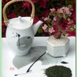 Shizuoka Shincha from Green Tea Lovers