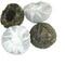 Green Tuocha from Tao of Tea