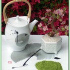 Kenya Rhino Matcha White Tea from Green Tea Lovers