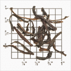Sarnia Plaiderie Estate BOP1 (TC54) from Upton Tea Imports