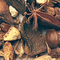 Fire Ginseng from Urbàna Teas & Tonics