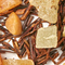 Gingerbread Cookies from Urbàna Teas & Tonics