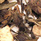 Nirvana from Urbàna Teas & Tonics
