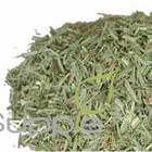 Lemongrass from Supple Skin Boutique