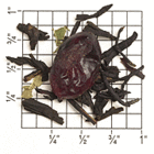 Cranberry Tea (TF27) from Upton Tea Imports