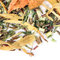 Green Rooibos Citron from Adagio Teas