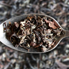 Bai Hao Oolong from TeaVert