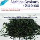 Asahina Gyokuro from Hojo Tea