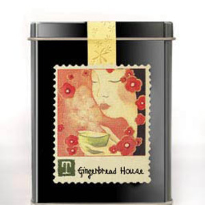 Gingerbread House from T
