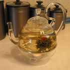 Easy Exotic Blooming Teas from Culinary Collection by Padma Lakshmi