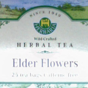 Elder Flowers from Herbaria