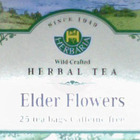 Elder Flowers from Herbaria
